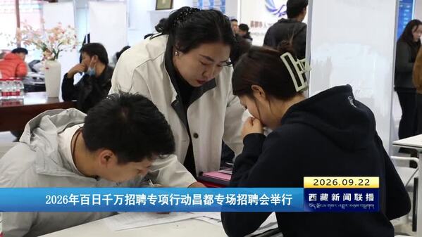 2026年百日千万招聘专项行动昌都专场招聘会举行