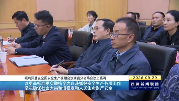 嘎玛泽登在全国安全生产视频会议西藏分会场会议上强调 以更高标准更实举措全力以赴抓好安全生产各项工作 坚决确保社会大局和谐稳定和人民生命财产安全