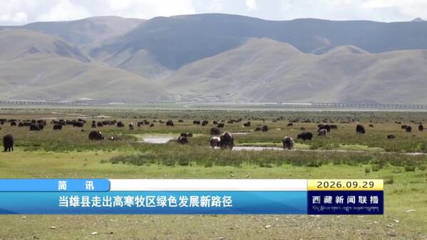 当雄县走出高寒牧区绿色发展新路径