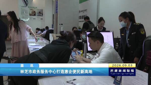 林芝市政务服务中心打造惠企便民新高地