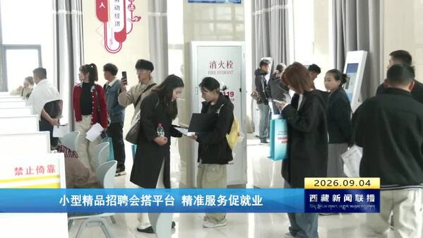 小型精品招聘会搭平台 精准服务促就业