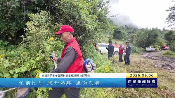 郭巴村守村记