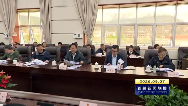 严金海在西藏自治区人大常委会党组党的建设工作领导小组会议上强调 一以贯之强化理论学习 常态长效查摆整改问题 推动树立和践行正确政绩观学习教育走深走实