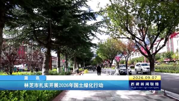 林芝市扎实开展2026年国土绿化行动