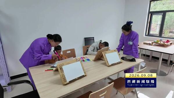 昌都市残疾人托养中心揭牌投用