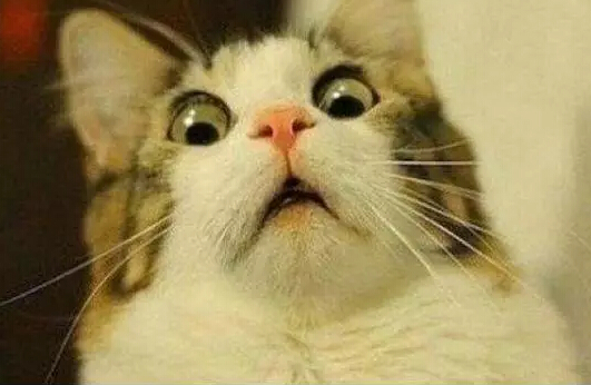 男子高买低卖苹果手机亏800万!检察机关委托医