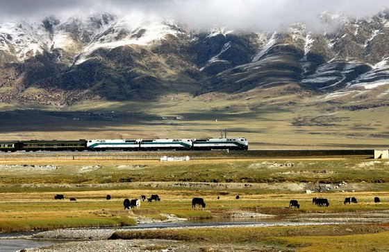 可可西里盐湖面积持续增大 官方加强青藏铁路