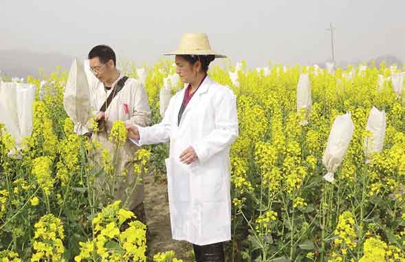 Tibetan women hold up half of the sky