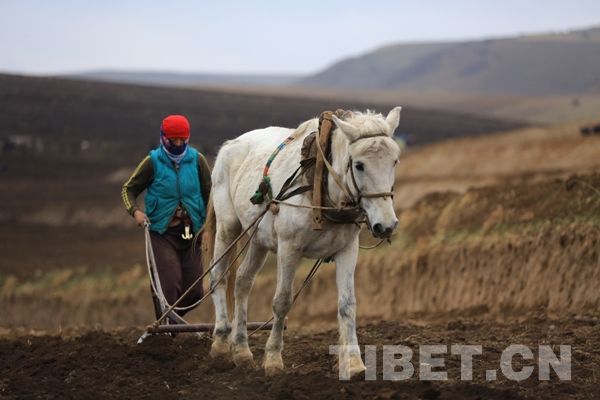 What is Tibetan women's human rights situation like after 50 years?