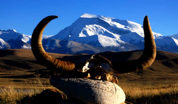 为什么陆地巡洋舰在雪域高原更受青睐?