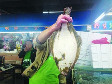 青岛:商贩拿养殖鱼冒充野生 肚皮有黑斑八成是