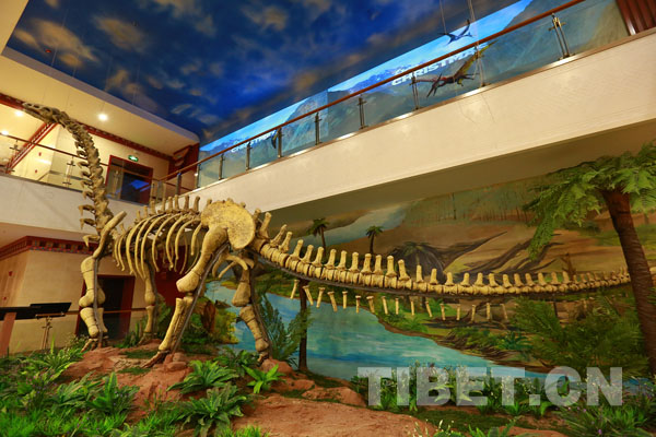 昌都博物馆举行开馆仪式