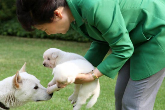 朴槿惠脸书发与爱犬亲密合影 取名 和平 和 统一
