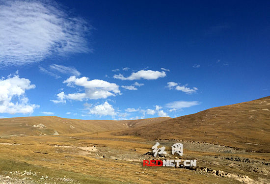 【红网记者自驾西藏】游青海湖 学藏区保护好