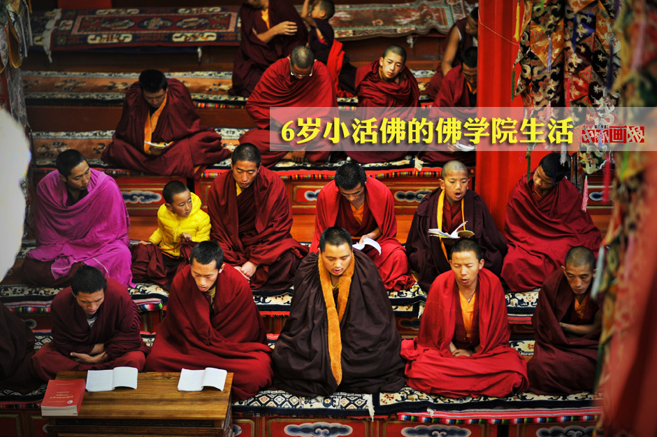走进藏传佛教 6岁小活佛的佛学院生活