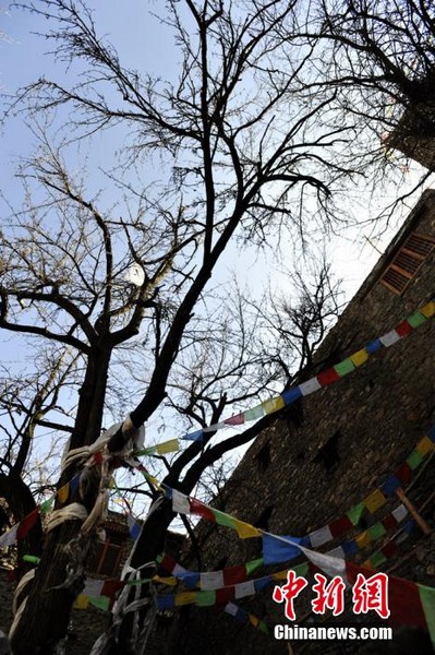 A glimpse of ancient Tibetan village in Sichuan