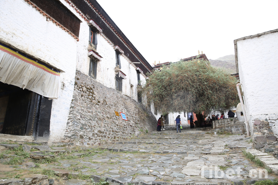 Summer scenery in Tashilhunpo Monastery