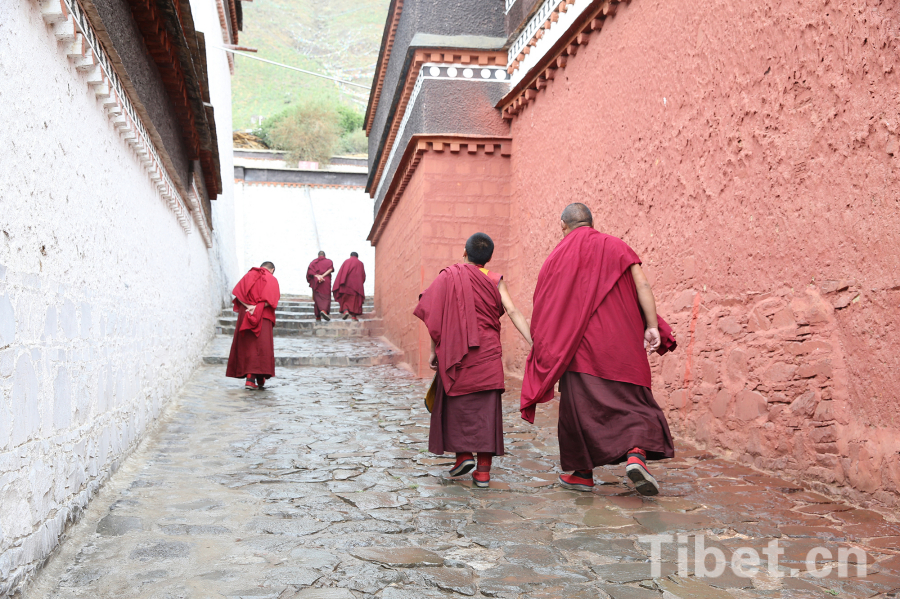 Summer scenery in Tashilhunpo Monastery