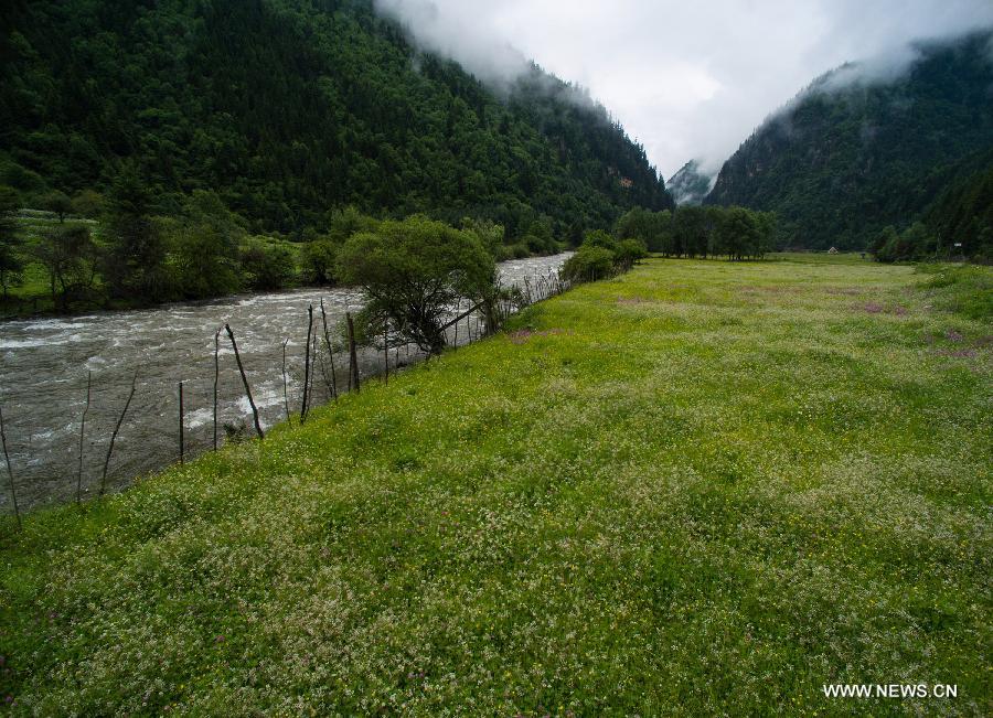  The Dagu glacier scenic spot is the newest tourist spot after the Jiuzhaigou Scenic Area, Huanglong Scenic Area and the Wolong National Nature Reserve in Aba.