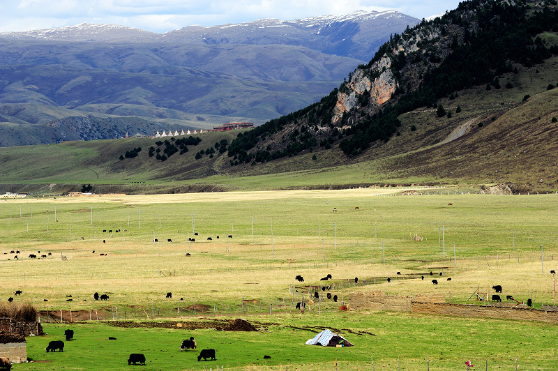 Ma-ni-kan-ko is a transfer station in the northern line of the Sichuan-Tibet highway. In ancient times, it was an important hub leading to Yunnan, Qinghai and Sichuan, a commercial area and a center for Tea-horse Ancient Road.