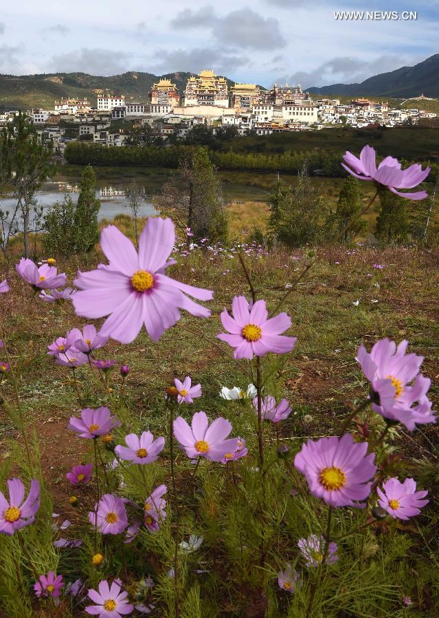 CHINA-YUNNAN-TIBETAN MONASTERY (CN)