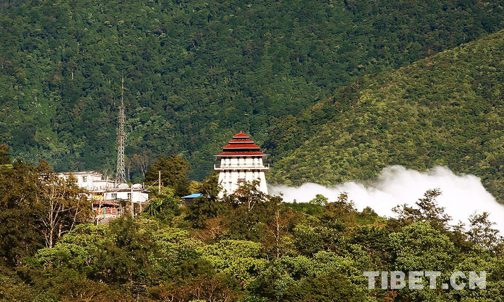 The "Lotus Pavilion" [Photo/China Tibet Online]