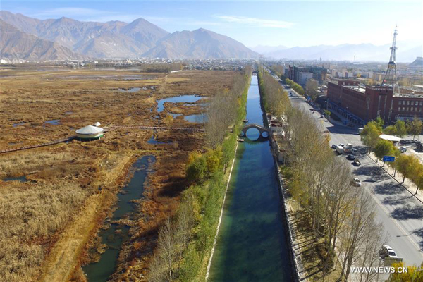 Tibet plans to build 4 national wetland parks