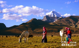 Tibet in pictures