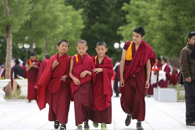 Uncovering the monastic life of young Tibetan rinpoches