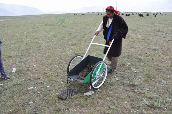  Manure gathering trucks help keep Tibetan lifestyle intact