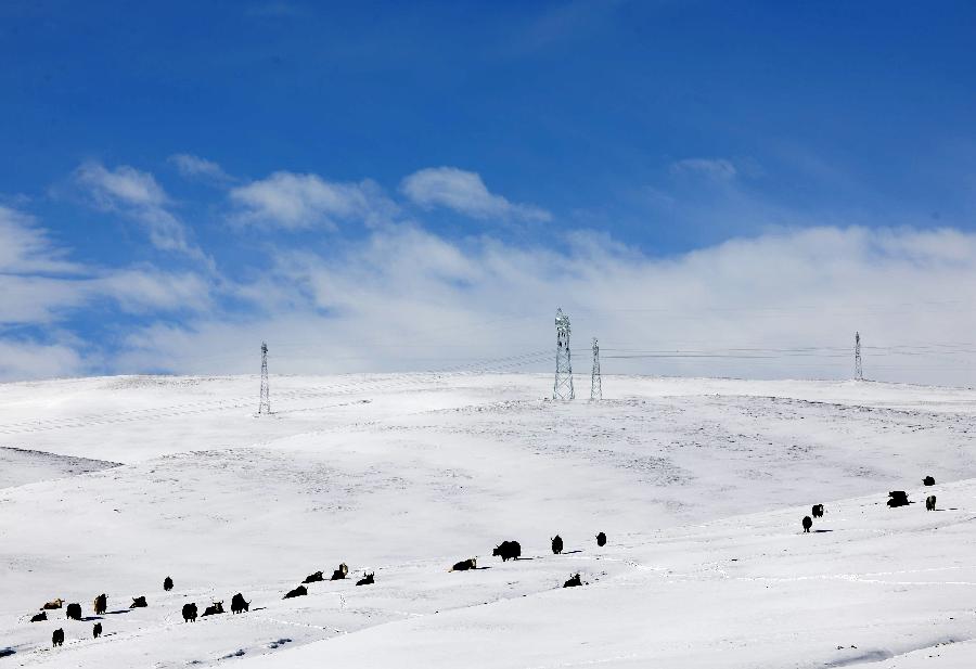Tibet to implement winter-spring airline scheduling