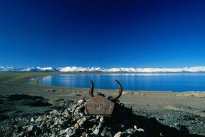 马丽华_名家专栏