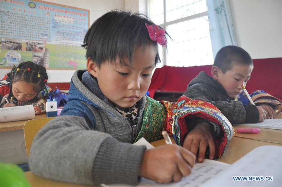 Measures taken to ensure Tibetan children's access to education in NW China