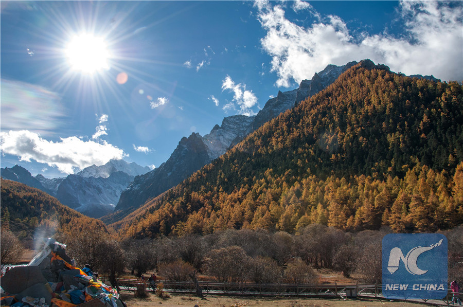 Ganzi Tibetan Autonomous Prefecture in golden season