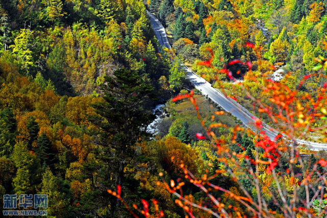  Most Beautiful National Highway in the Eastern Tibet