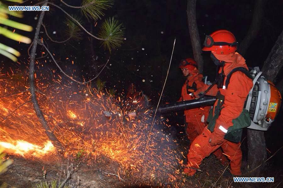 SW China forest fire kills 1, injures 6