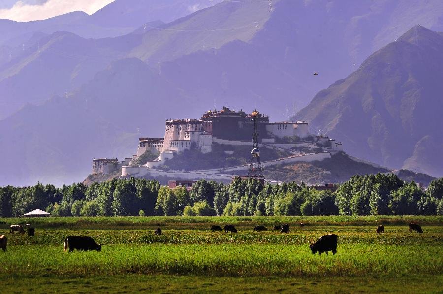  Tibet launches wetland ecological benefit program
