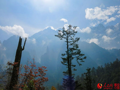 Fairyland on earth — Swallow Valley in SW China