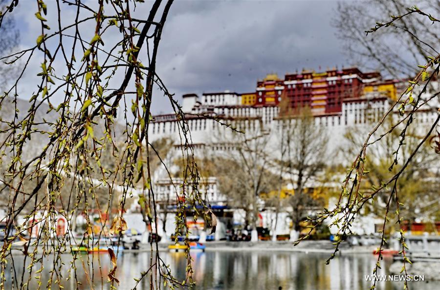 Spring coming in Lhasa, China's Tibet 