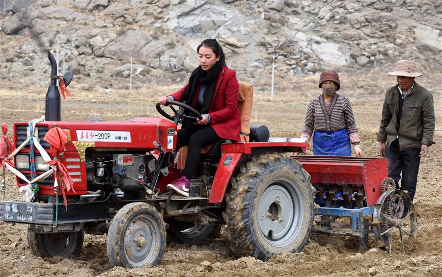  Story of a Tibetan village Party  secretary