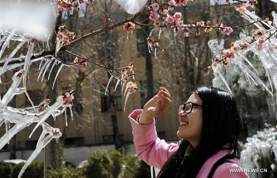 The weather in Lhasa now differs sharply during day and night, with night temperature still below zero degrees Celsius