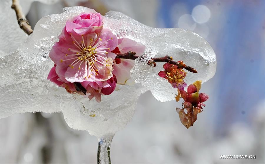 The weather in Lhasa now differs sharply during day and night, with night temperature still below zero degrees Celsius