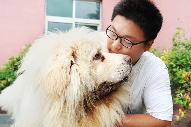 这人比于谦还壕!在北京有个18亩的獒场