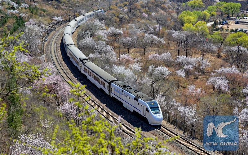 If you've missed China's amazing spring...