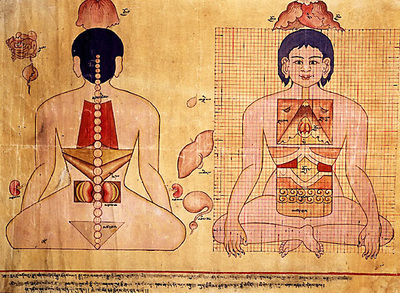 The inheritance and development of the thousand-year old Tibetan medicine