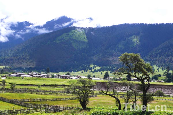 Tibet punished companies violating environmental laws