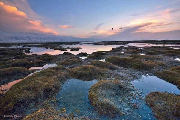 Qinghai Lake voted as 8th most beautiful wetland in China 