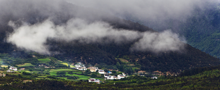  Yunnan, how the trees of Meri Snow Mountains got protected