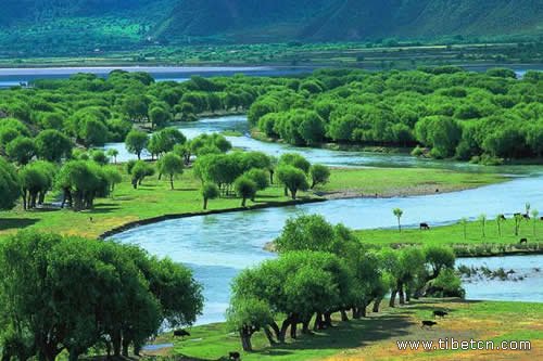 Water condition remains good in Yarlung Tsangpo river basin 