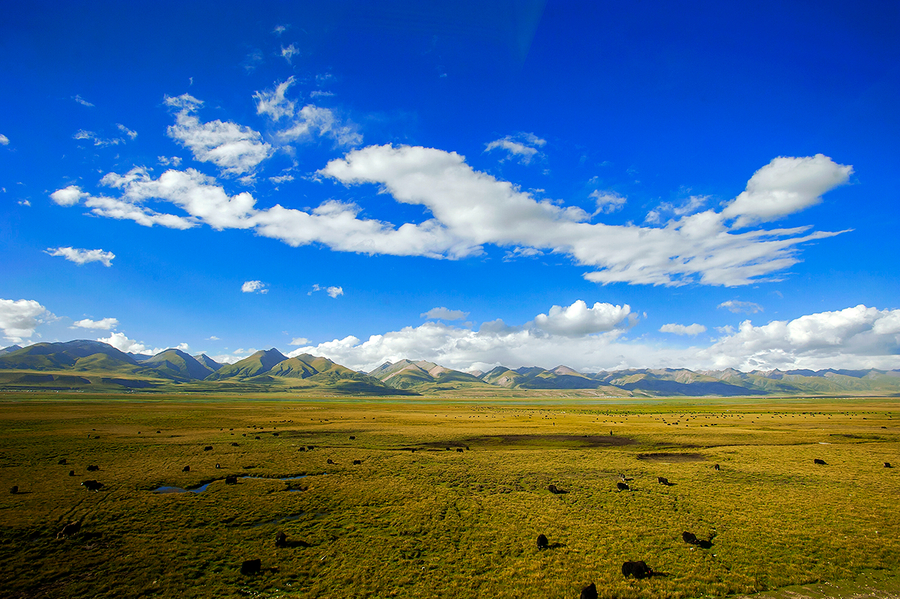 Development of Tibet grasslands eco-tourism